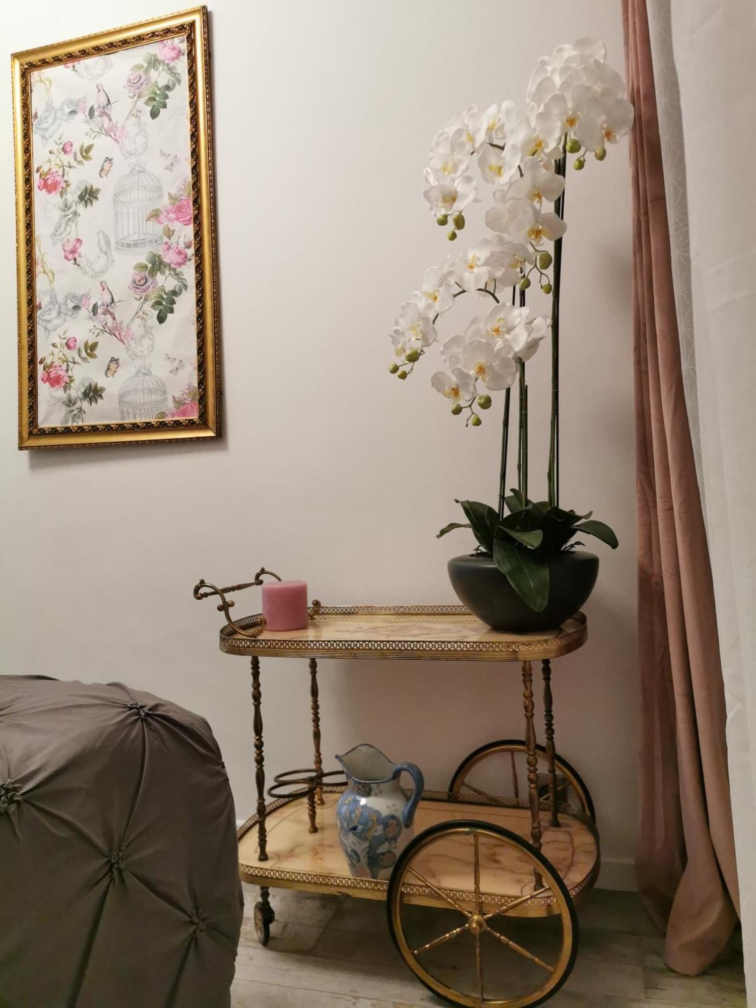 尼斯L'Ensoleillee公寓 客房 照片