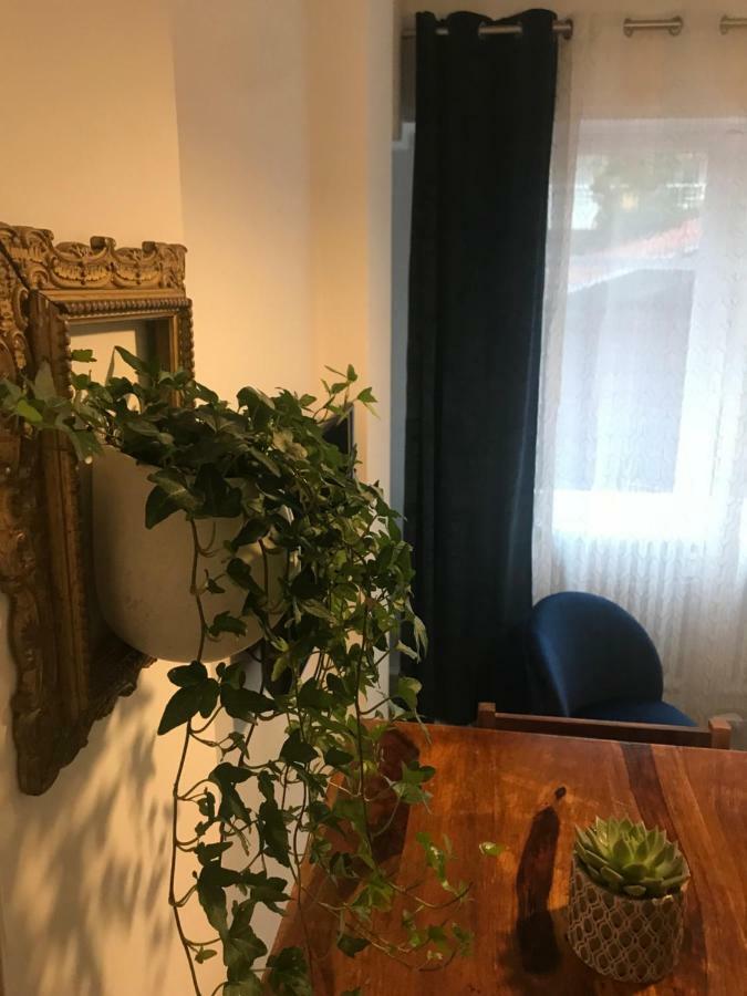 尼斯L'Ensoleillee公寓 外观 照片